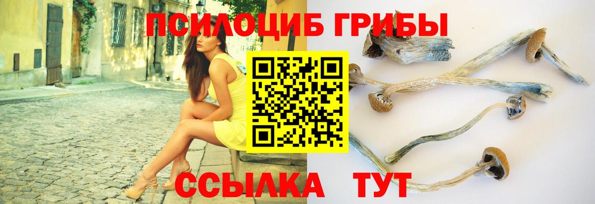 Псилоцибиновые грибы MAGIC MUSHROOMS Грозный